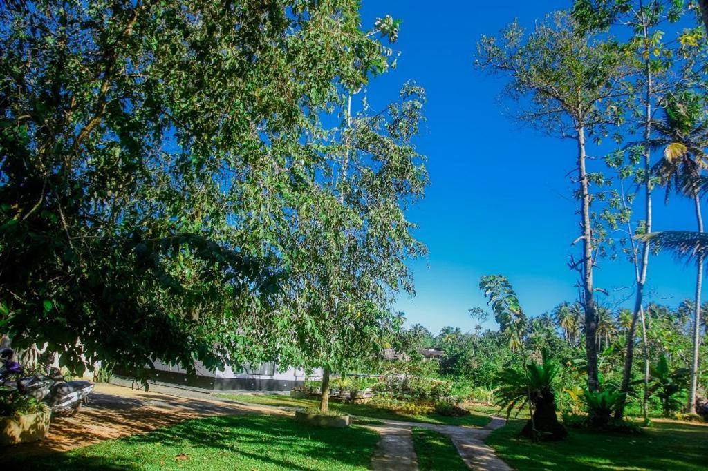 The Glade Aparthotel Уелигама Екстериор снимка